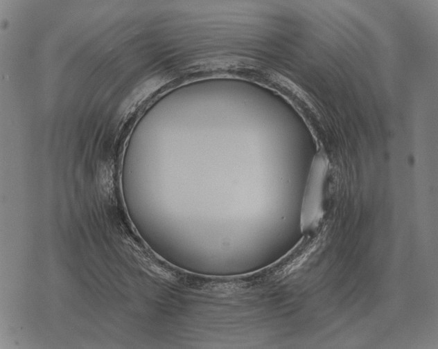 X0000076090778200610061640