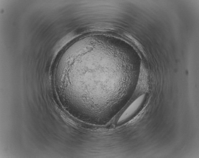 X0000076090779200610061640