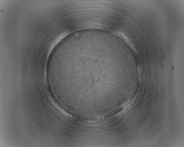 X0000076090780200610061640