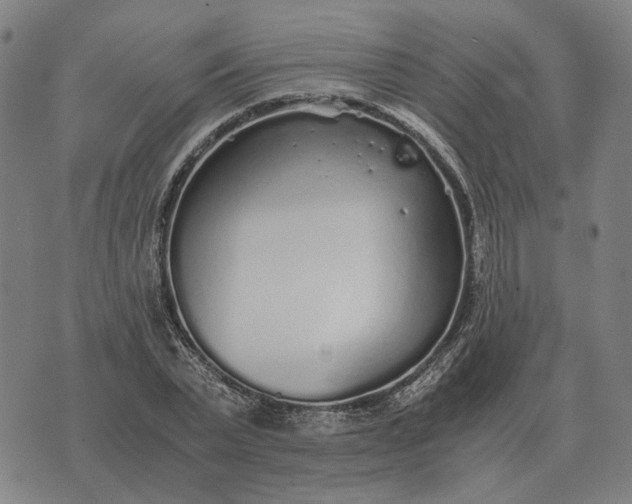 X0000076090783200610061640