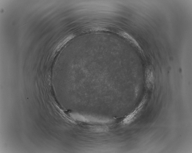 X0000076090785200610061640