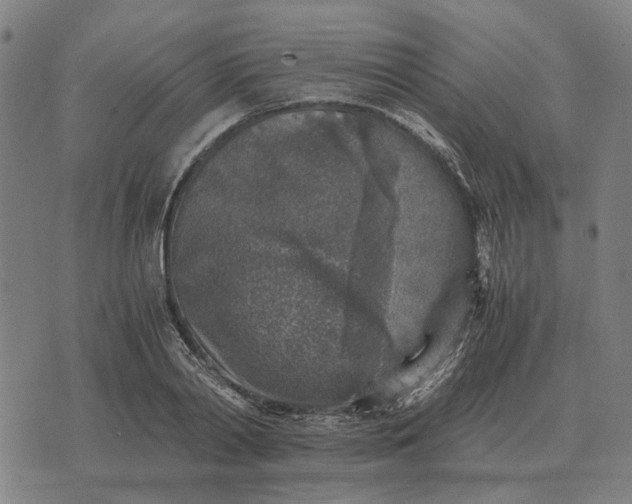 X0000076090790200610061640