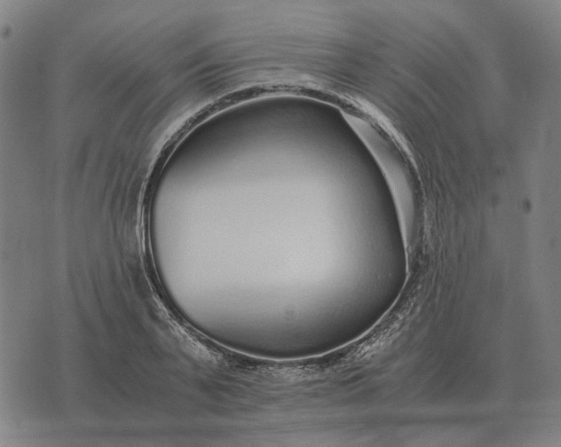 X0000076090791200610061640