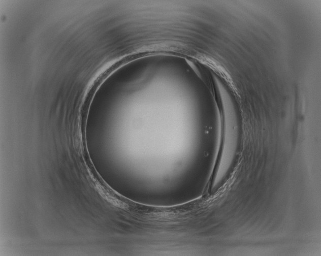 X0000076090792200610061640