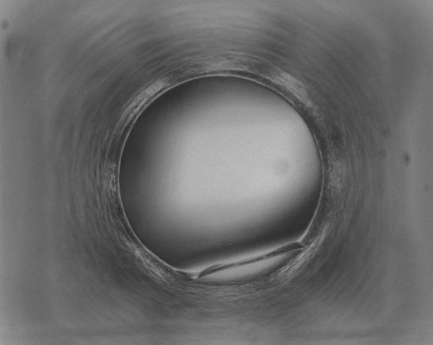 X0000076090793200610061640