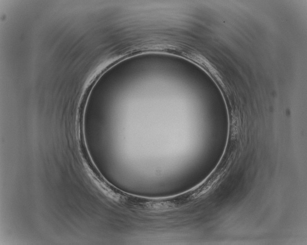 X0000076090795200610061640