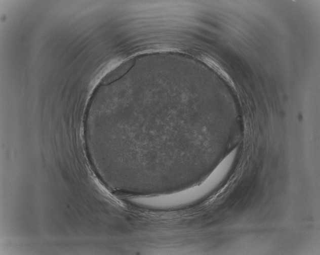 X0000076090797200610061640