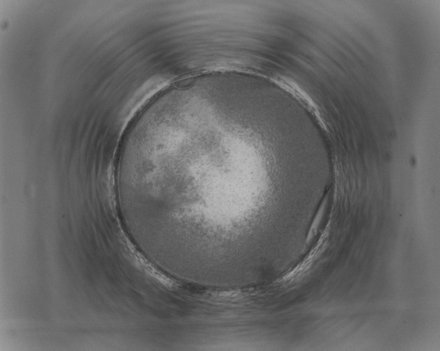 X0000076090798200610061640