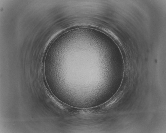 X0000076090799200610061640