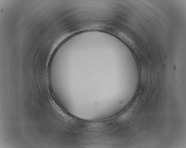 X0000076090800200610061640