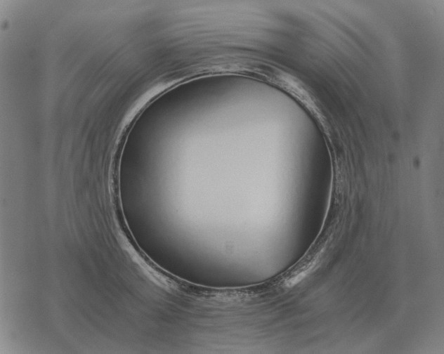 X0000076090803200610061640