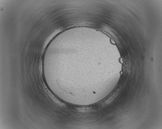 X0000076090804200610061640