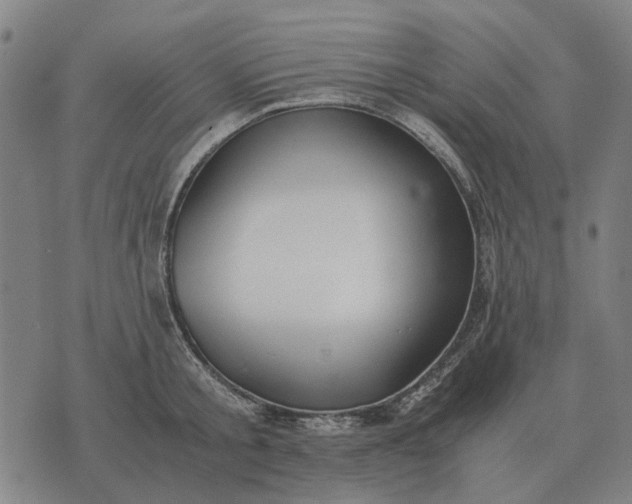 X0000076090805200610061640