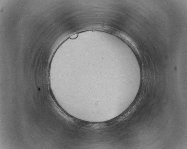 X0000076090808200610061640