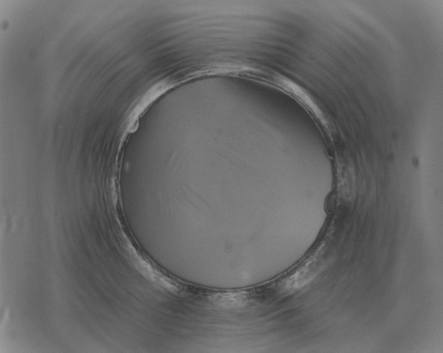 X0000076090810200610061639