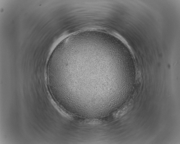 X0000076090811200610061639