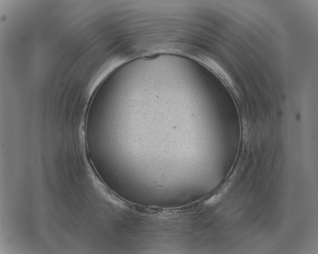 X0000076090814200610061639