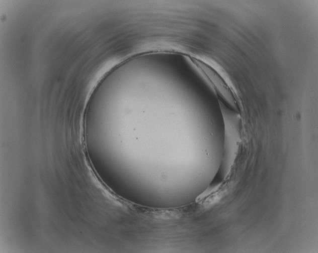 X0000076090815200610061639