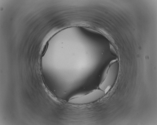 X0000076090816200610061639