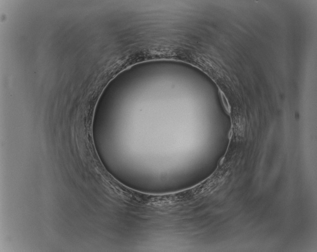 X0000076090817200610061639