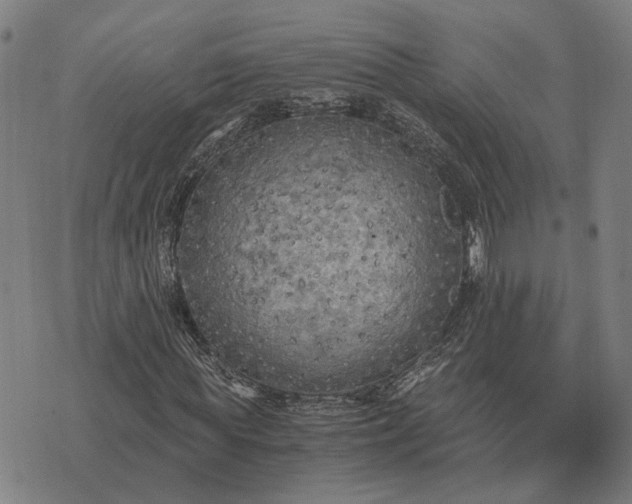 X0000076090819200610061639