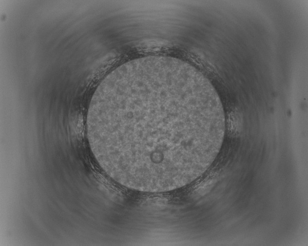 X0000076090820200610061639