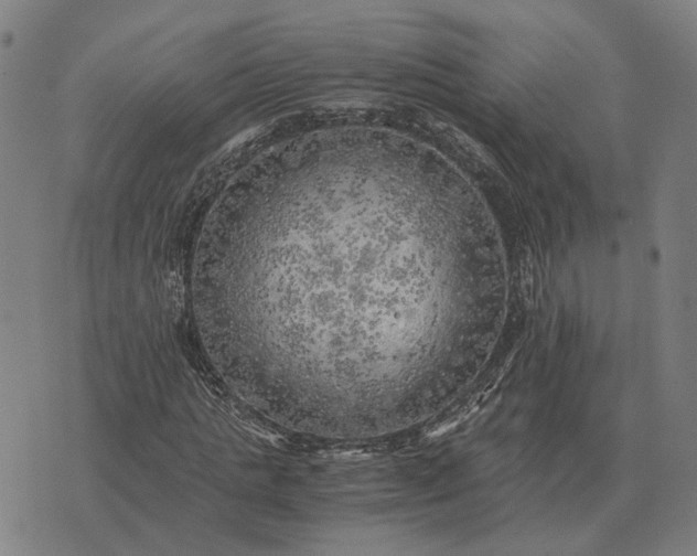 X0000076090821200610061639