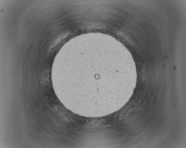 X0000076090824200610061639