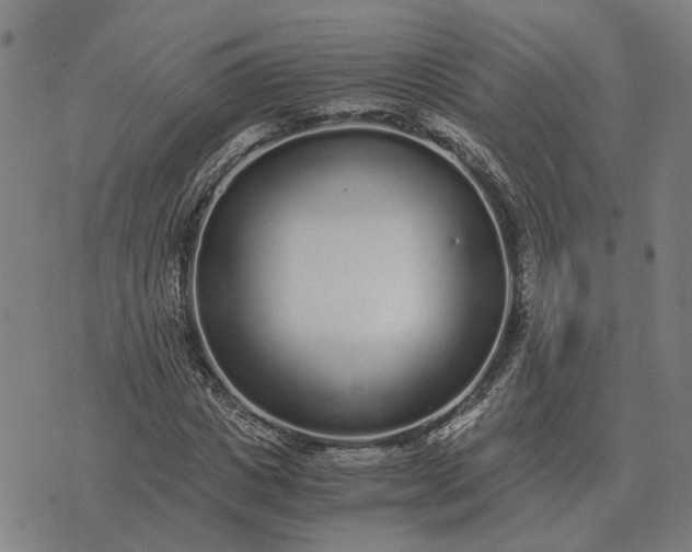 X0000076090825200610061639