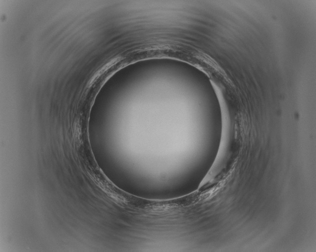 X0000076090826200610061639