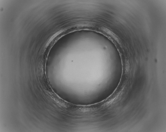 X0000076090829200610061639