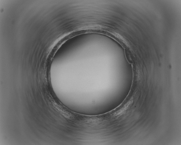 X0000076090830200610061639