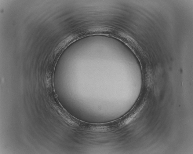 X0000076090833200610061639