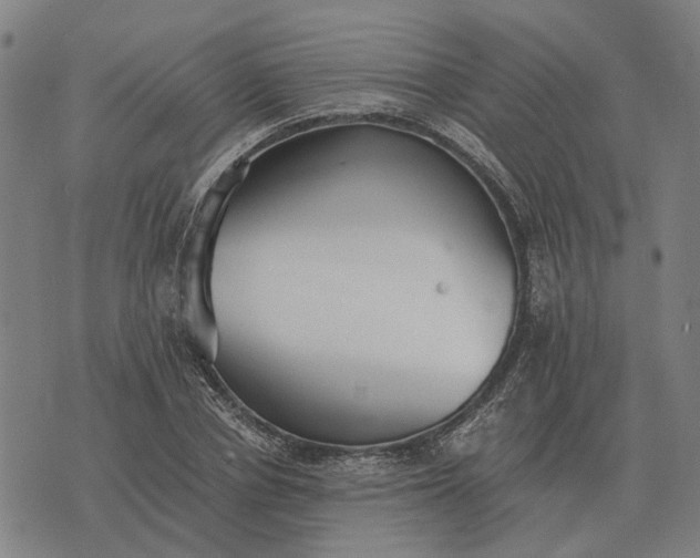 X0000076090834200610061639