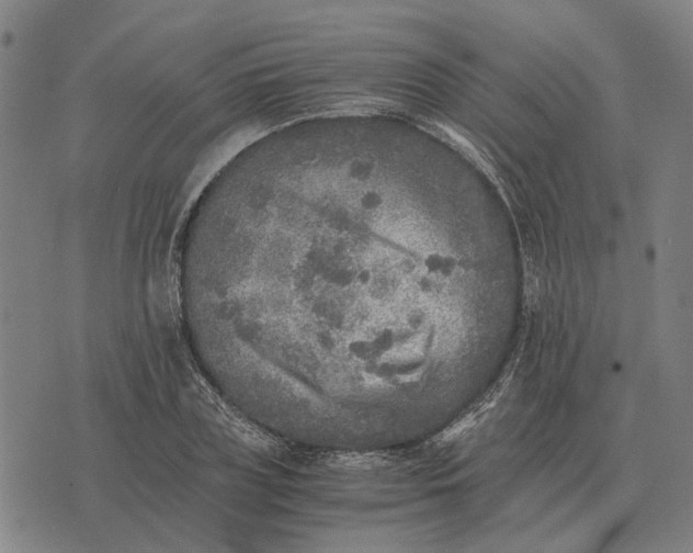 X0000076090835200610061639