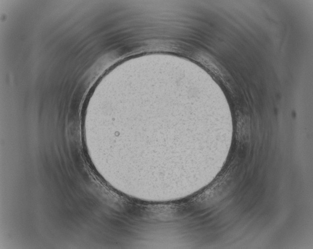 X0000076090836200610061639