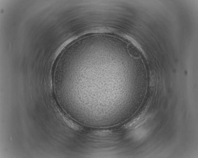 X0000076090837200610061639