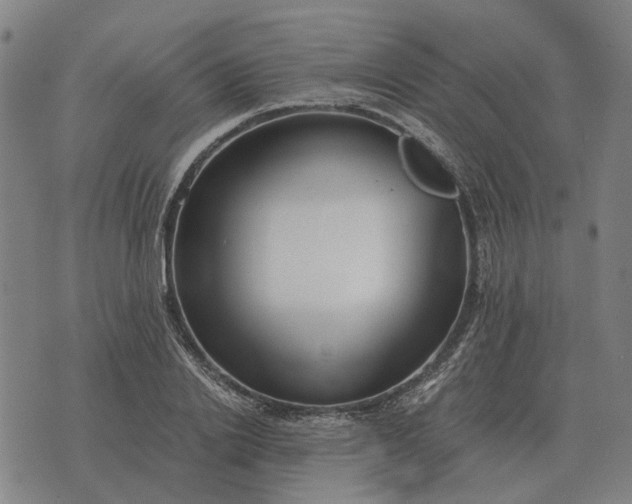 X0000076090838200610061639