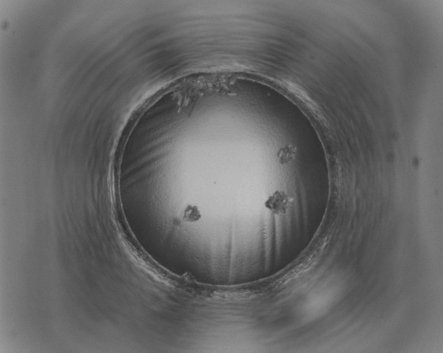 X0000076090840200610061639