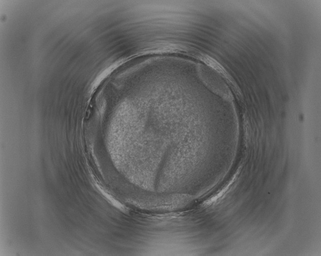 X0000076090842200610061639