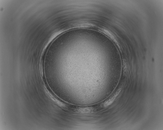 X0000076090843200610061639