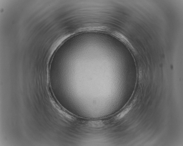 X0000076090844200610061639