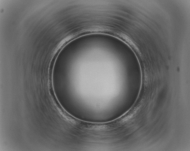 X0000076090845200610061639