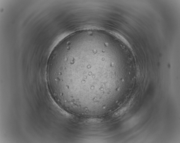 X0000076090847200610061639