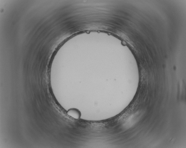 X0000076090848200610061639