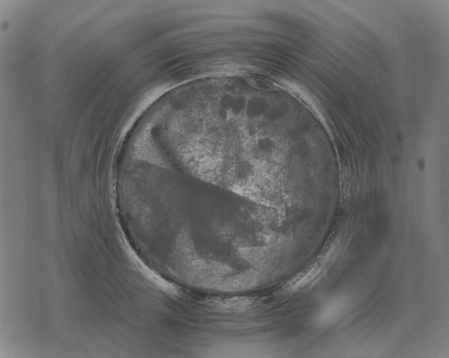 X0000076090851200610061639