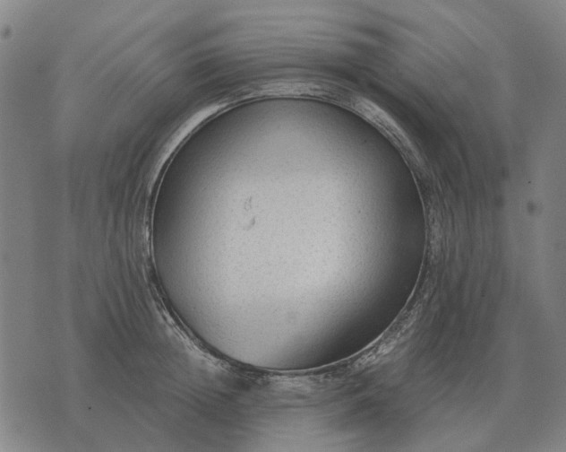 X0000076090852200610061639