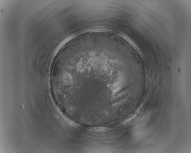 X0000076090853200610061639