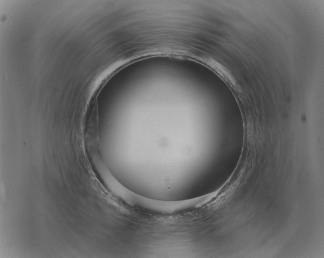 X0000076090854200610061639