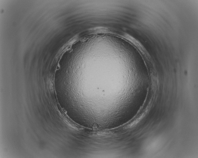 X0000076090857200610061639